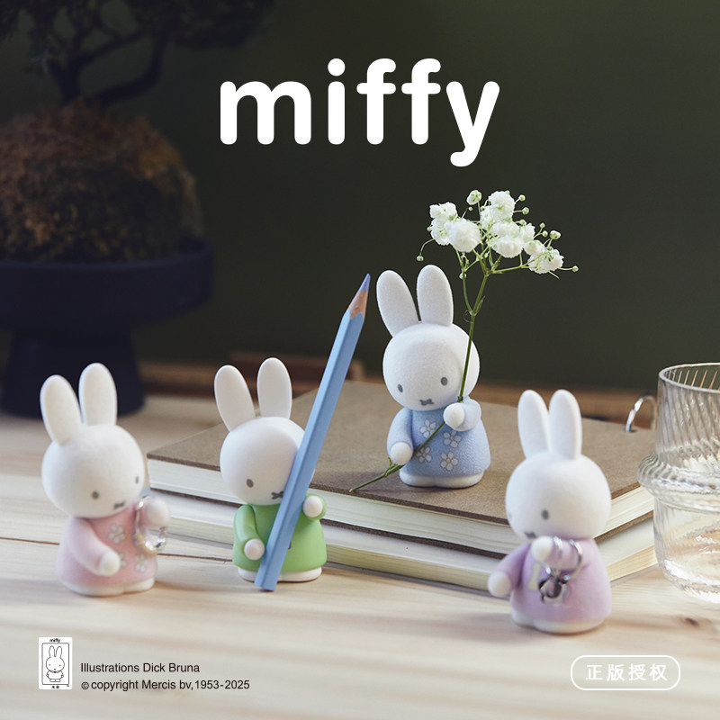 Miffy Penhouder Blind Box Kleu - Figure Display Box recensie en prijs